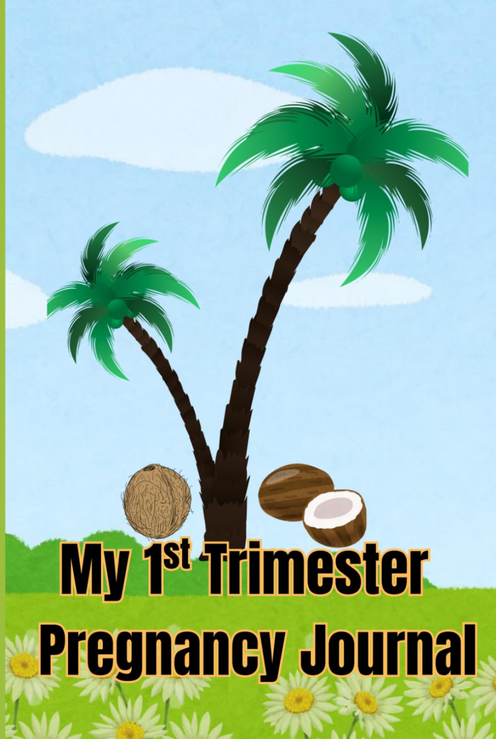 My 1st Trimester Pregnancy Journal: Designed for you to document your Wonderful experience in the 1st Trimester of your Pregnancy