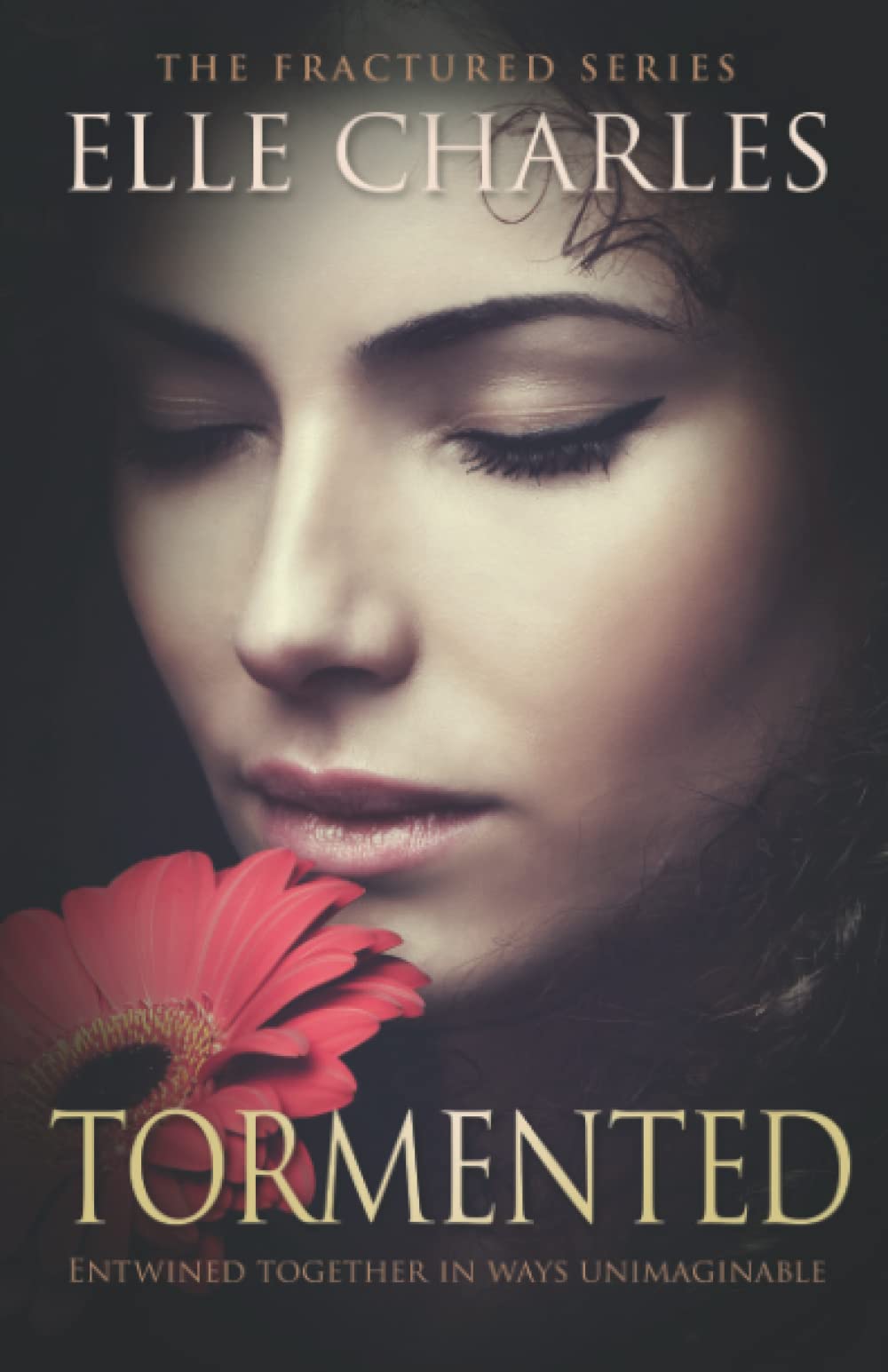 Tormented: 2 (The Fractured Series)