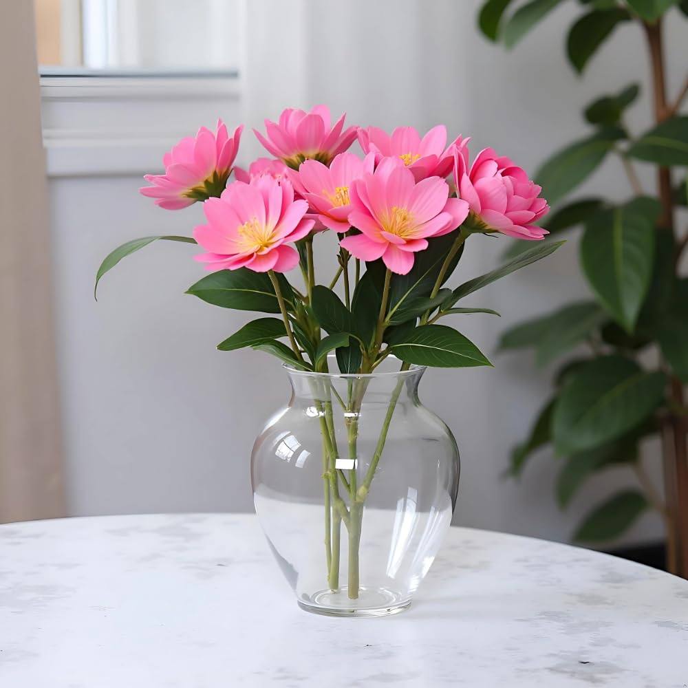 Oasis Acrylic Vase Multipurpose Home Office Table Decoration Flower Indor Plants Secculants Vase Ginger Transparent 9x16cm (1 No)-image-12