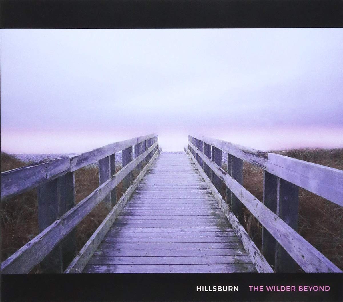 Wilder Beyond [Audio CD] Hillsburn