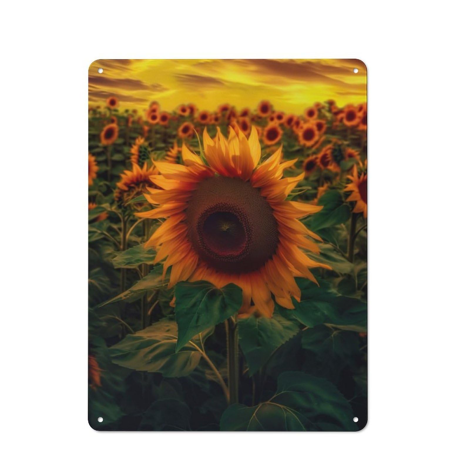 Junmoney Sunflower Yellow Sky Cloud Rustic Tin Sign 40X30cm For Café Or Restaurant, A Decorative Christmas Gift For Hospitality Interior Collectors