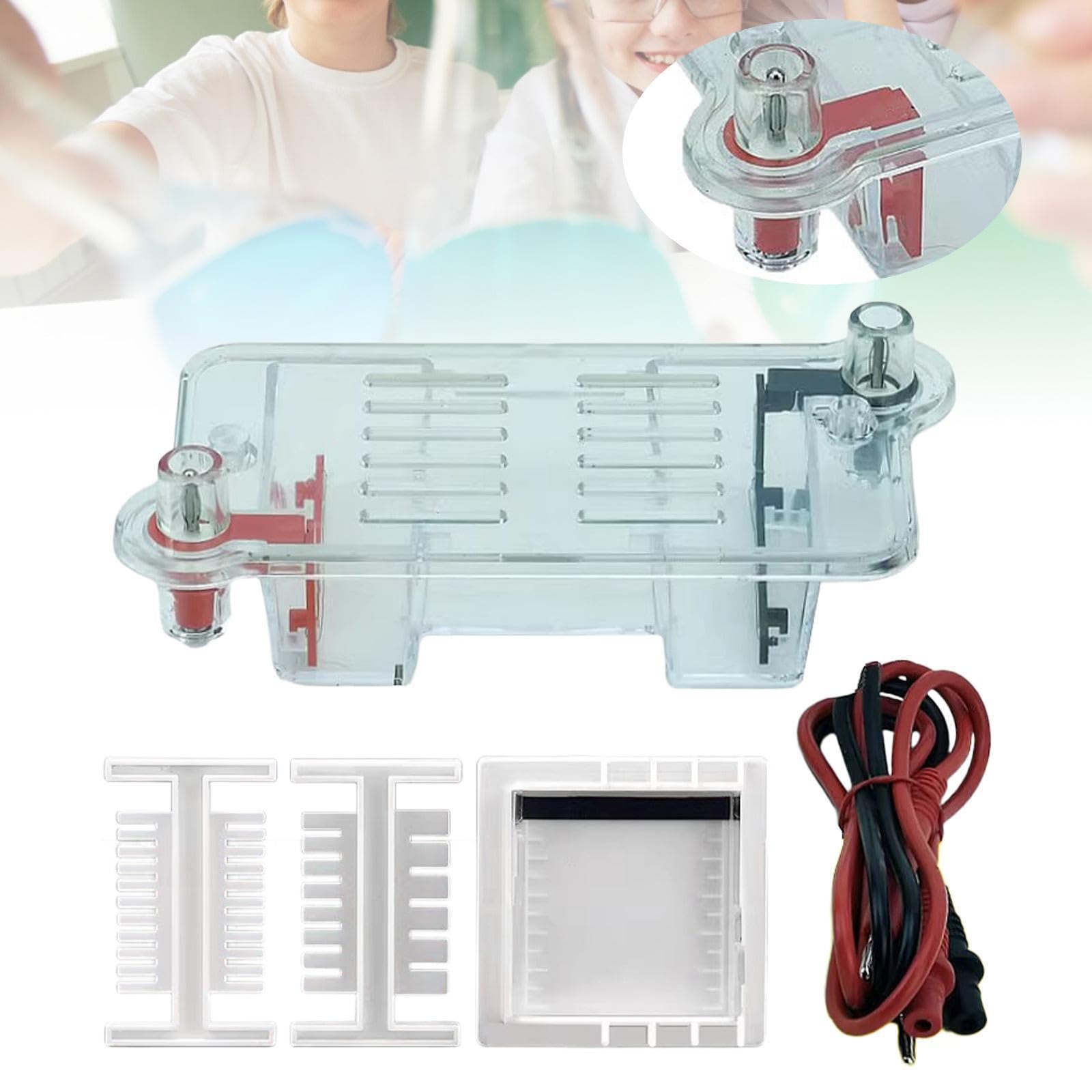 Elektrophorese Apparatur Set mit Gel Tank für Physik Experimente Gel Elektrophorese Rack aus PP Material Lehrmittel für Biologie Unterricht
