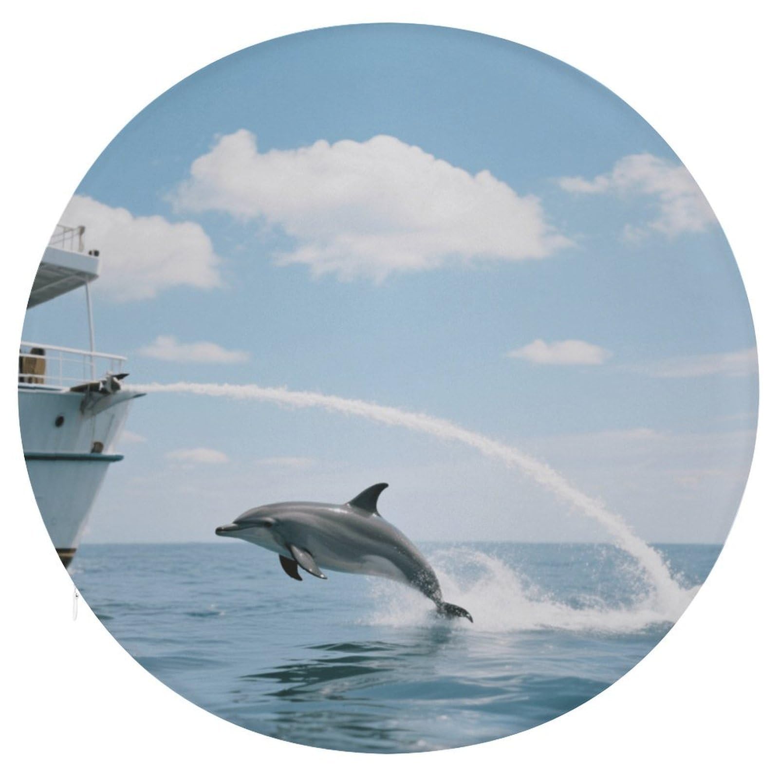 Dolphin Stern okrągła poduszka, z dodatkiem pianki z pamięcią kształtu, poduszka na krzesło, pokrowiec poliestrowy z zamkiem błyskawicznym, poduszka do siedzenia, na łóżko, sofę, krzesło