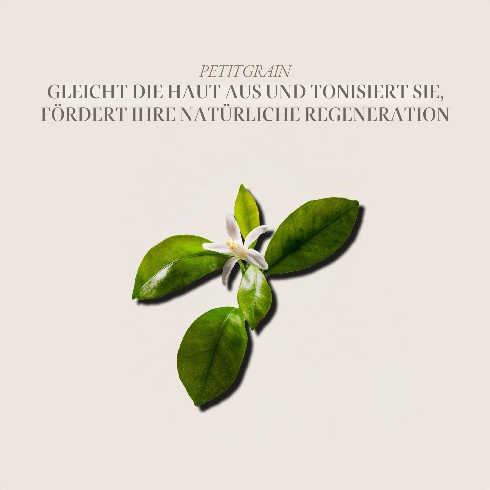 Alqvimia | Körper Öl | Queen of Egypt Body Oil| Hautstraffendes und pflegendes Öl für mehr Beauty und Schönheit | 150 ml