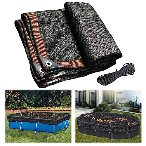 Top 10 Ground Cover For Pool of 2022 Katynel