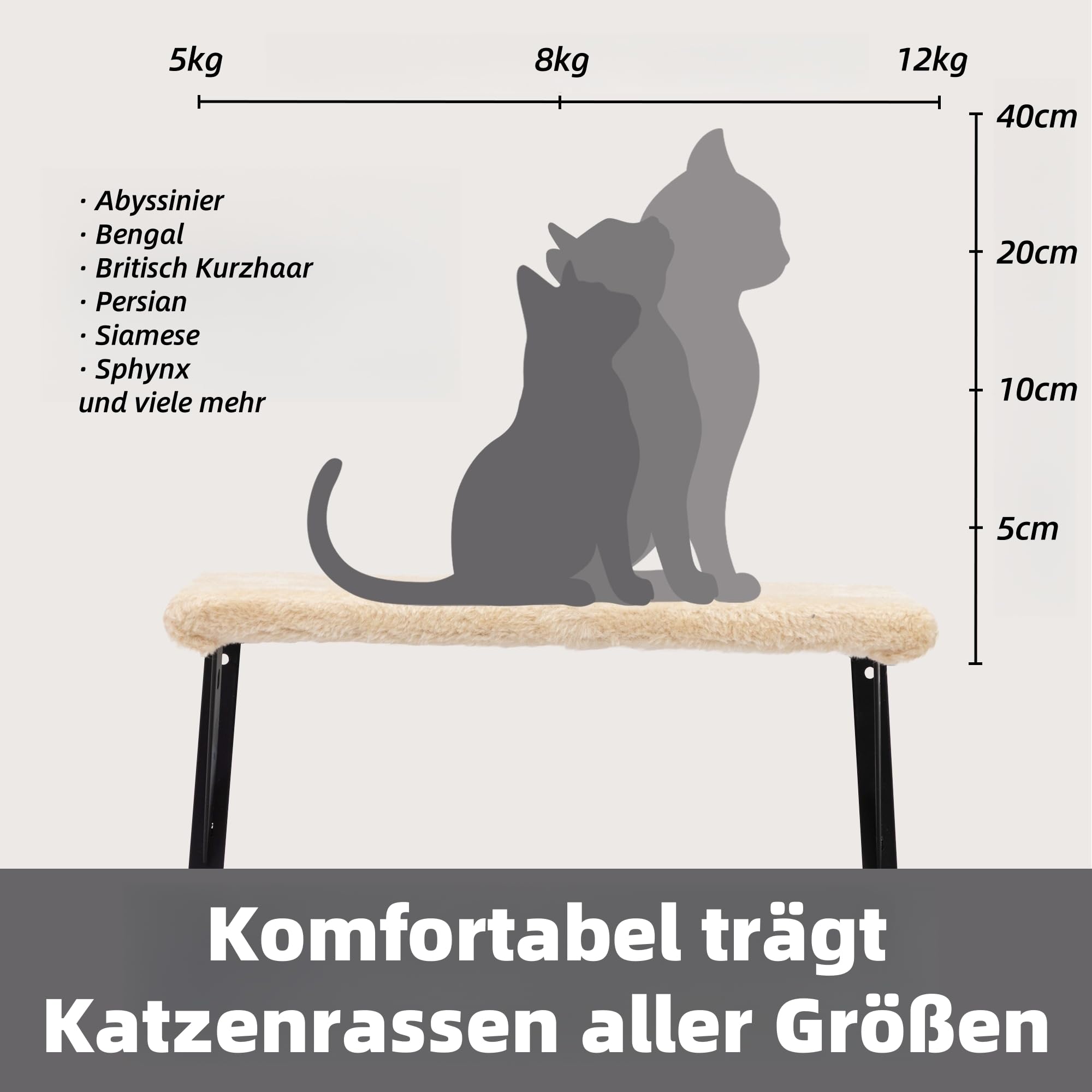 Katzen Kletterwand Set 5-teilig – Wandmontierte Katzenwand mit Katzenhaus, Katzenbrücke & Kratzbrett, Platzsparende Kletterwand Katzen für Wohnung, n, Katzenbrücke (beige)