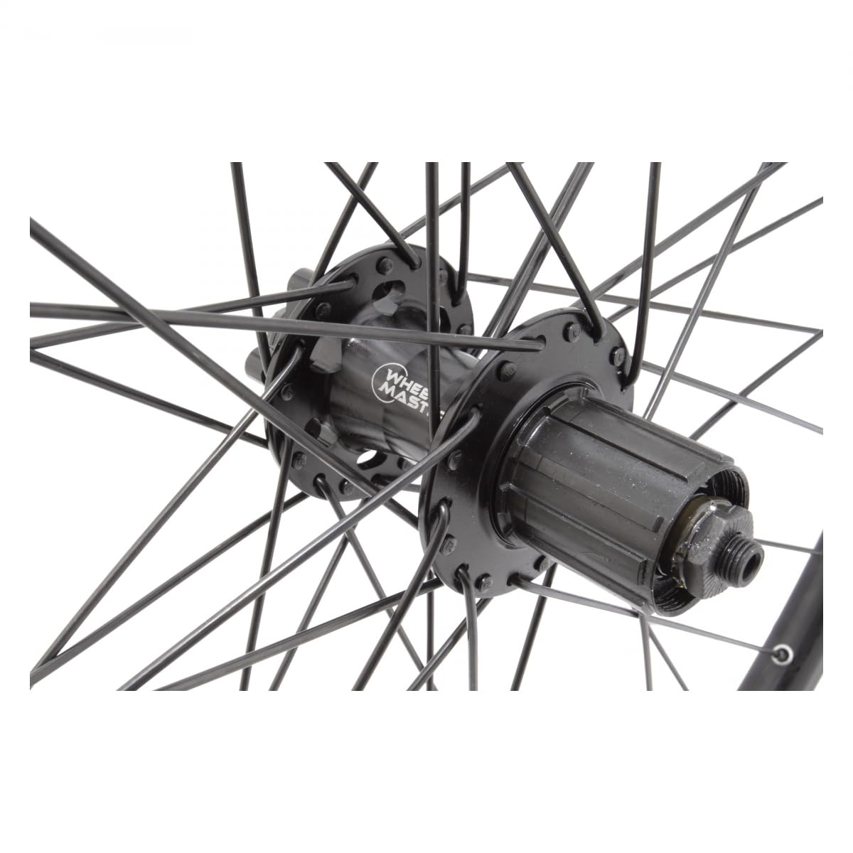 WheelMaster 26in Alloy Mountain Disc Double Wall 26in RR Alex DP20 6B