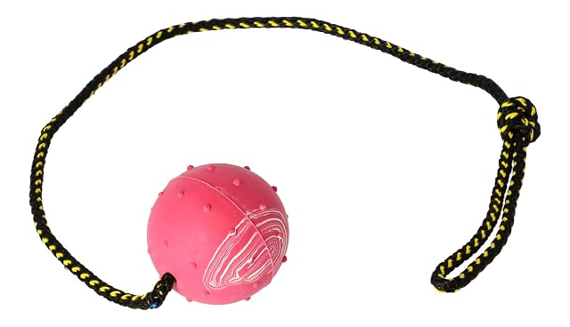 Foto 8 de 8 de Dingo Pelota de Goma Cuerda para atrapar
