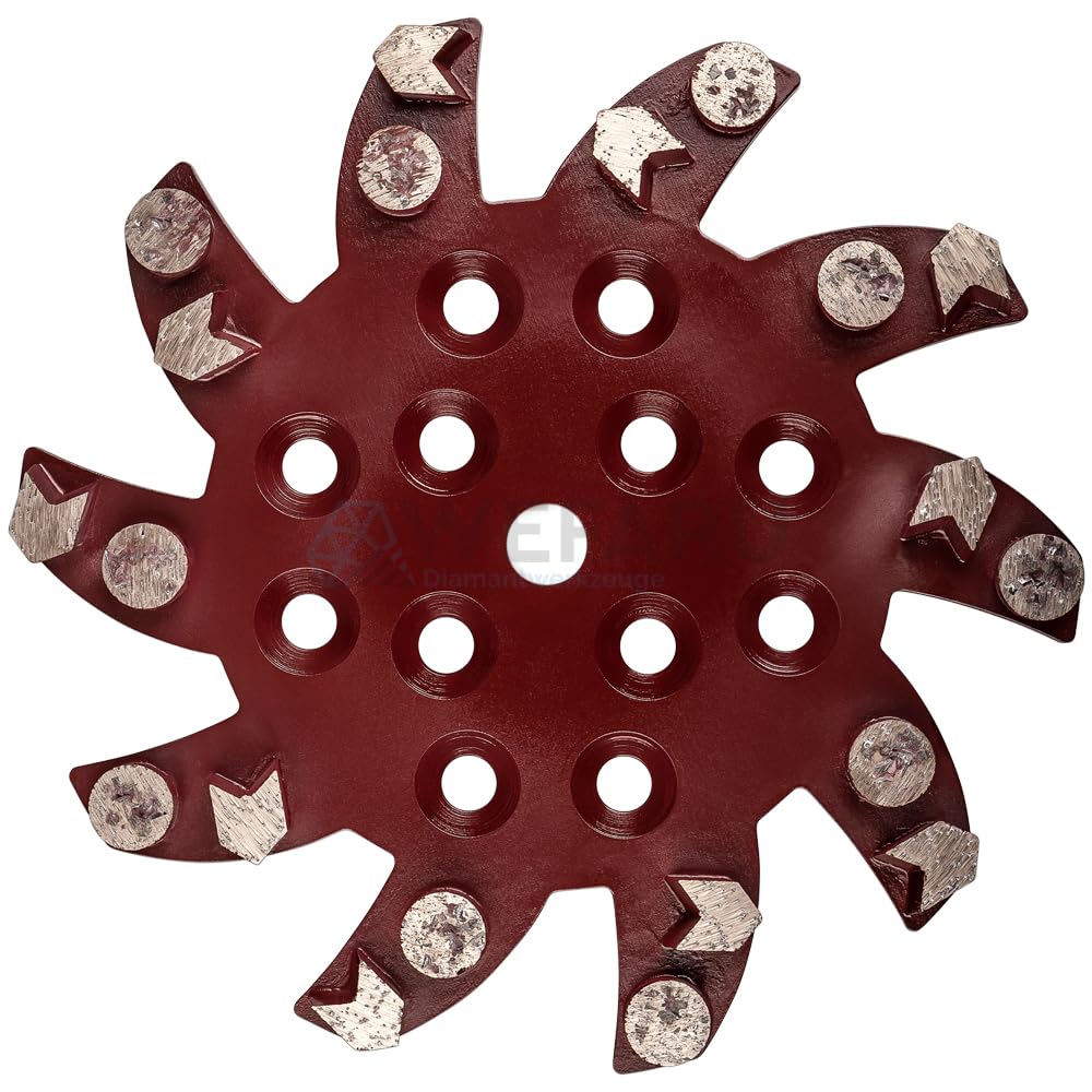 Diamant Schleifteller SSP100 Ø 250 mm für Bodenbeschichtungen – Profi PKD-Split Schleifteller mit 20 Segmenten – geeignet für GÖLZ, Blastrac, Clipper, SM250 u.v.m.