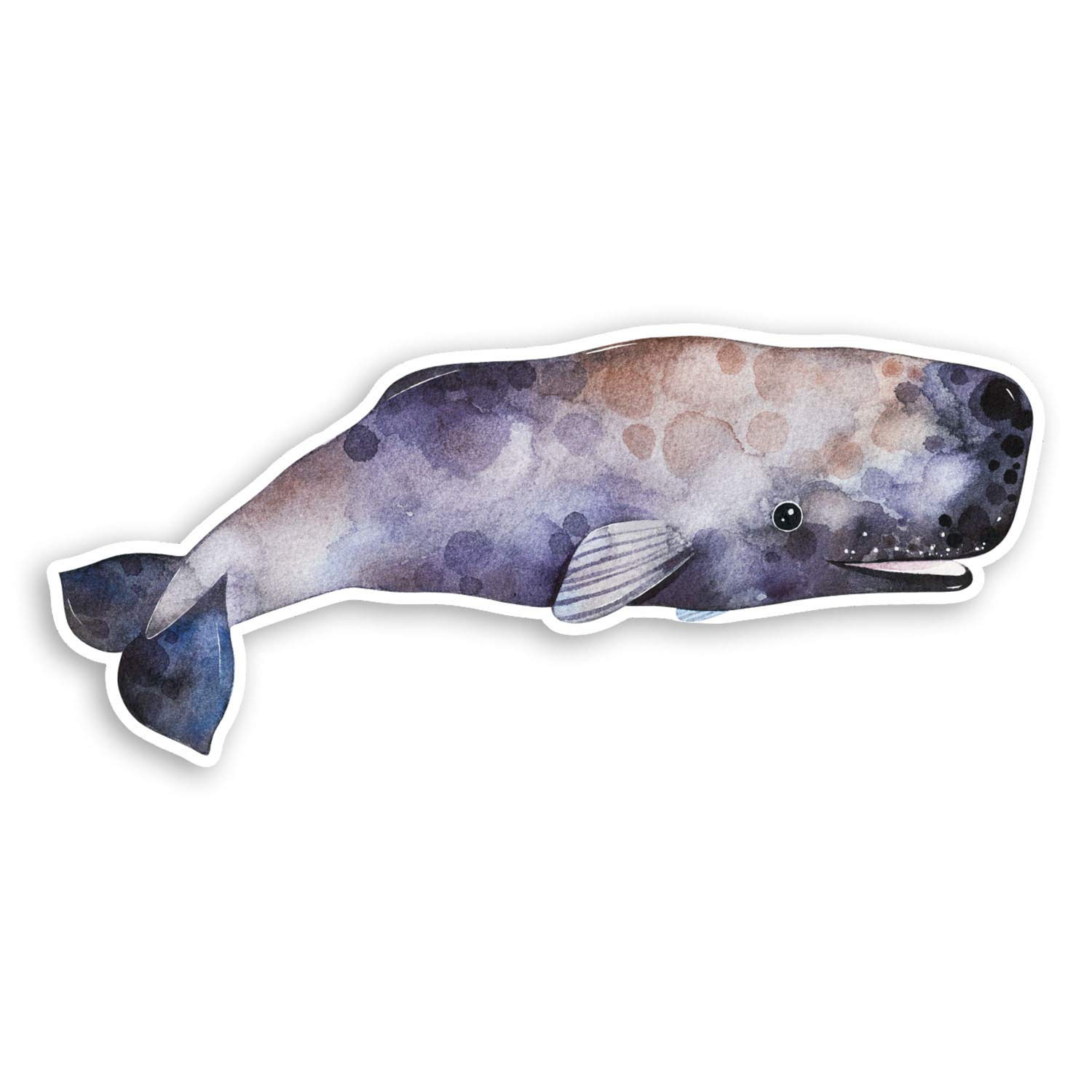 Destination Vinyl Ltd Multi 2 X 10Cm Pretty Sperm Whale Vinyl Stickers - Ocean Sea Laptop Sticker #20876 (10Cm Wide)