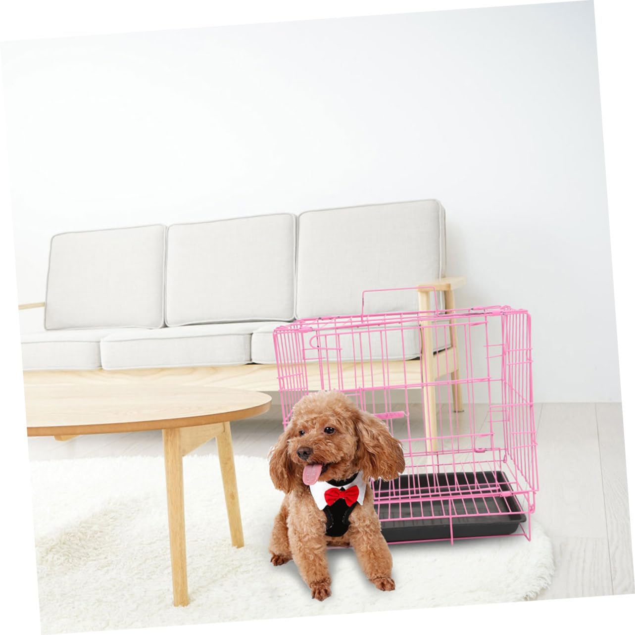 Amazon.co.jp: BUGUUYO 折りたたみ可能な金属ワイヤー犬クレート