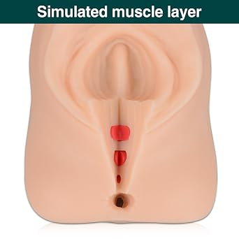 Episiotomy Suturing Trainer, Perineal Repair Model | Flexible Silicone, Layered Closure and Knot Tying, Medical Education, Midwifery Skills Labs