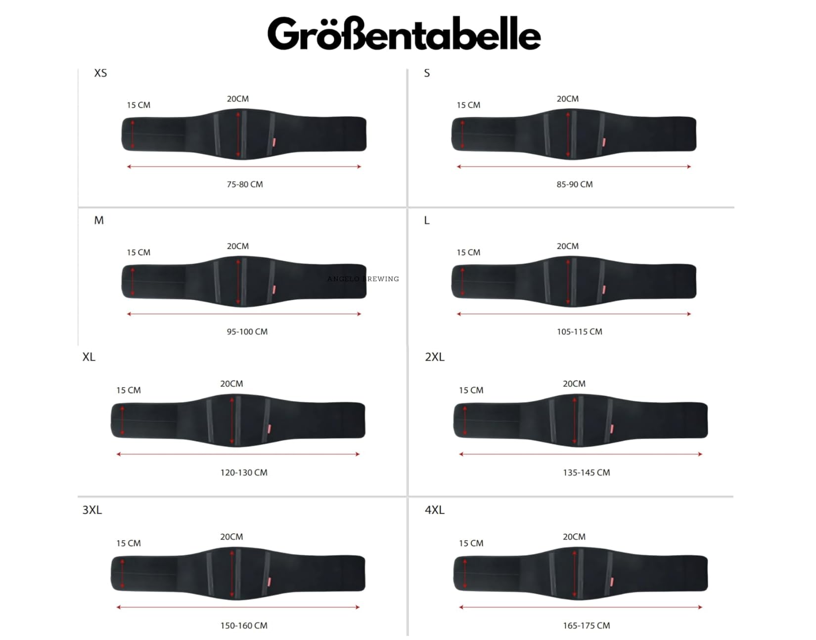 BLACKWILD Ceinture lombaire de moto | Ceinture lombaire pour homme et femme | Chauffe-reins, soutien lombaire, stabilisation efficace, gris noir