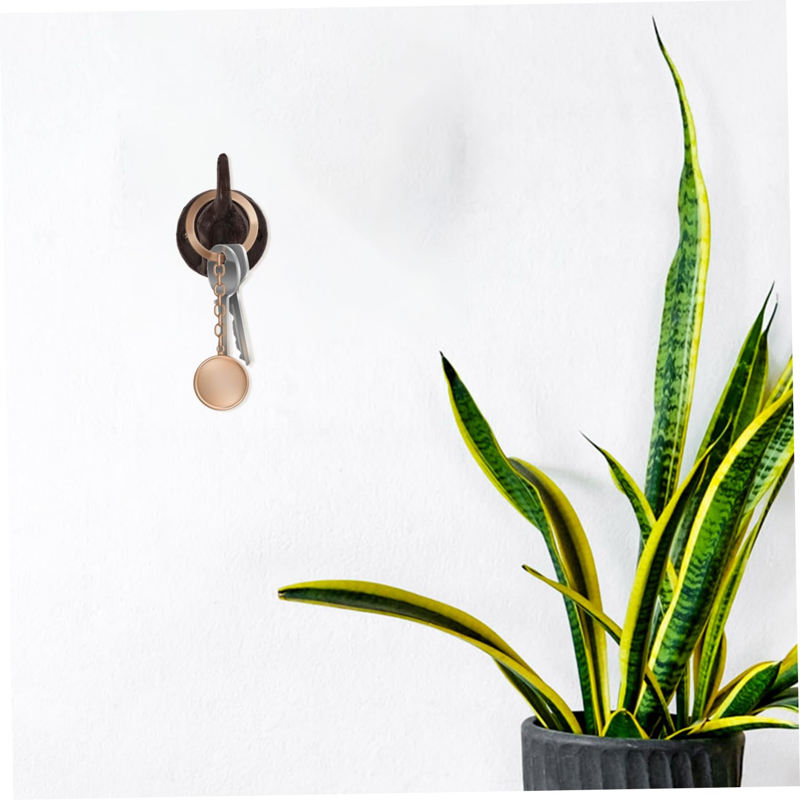 Alipis 5 Piezas De Gancho Decorativo Para Colgar En La Pared Ganchos De Pared Únicos Gancho Para Perro Ganchos En Forma De Perro Ganchos Decorativos Para Pared Colgador De Toallas