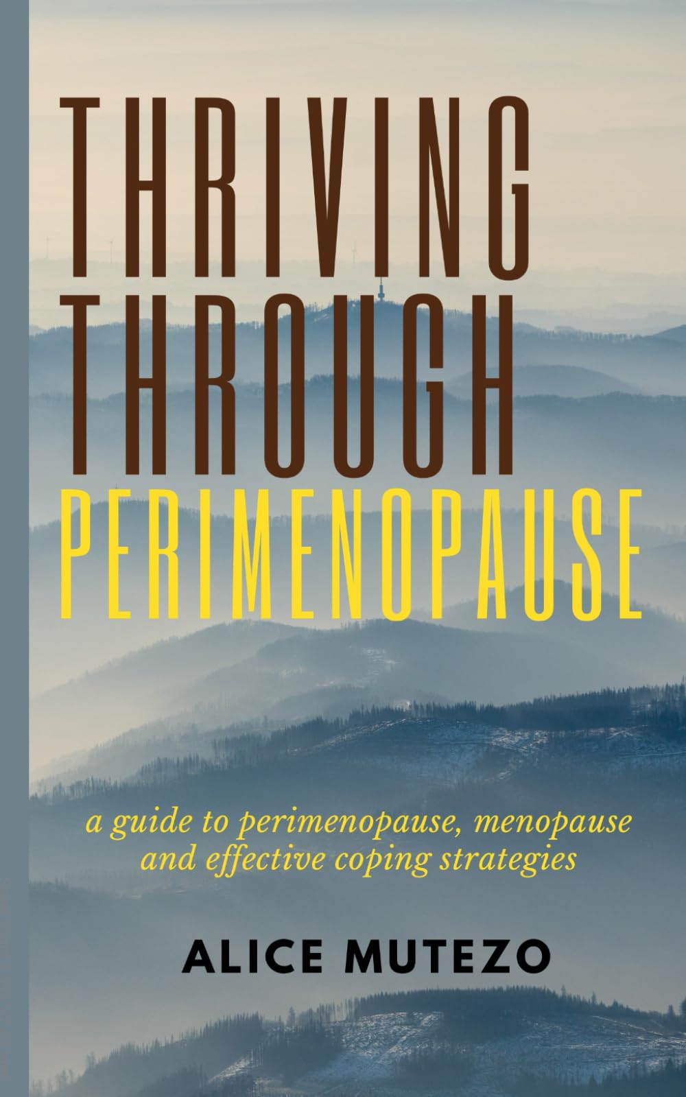 THRIVING THROUGH PERIMENOPAUSE:: a guide to perimenopause menopause and effective coping strategies.