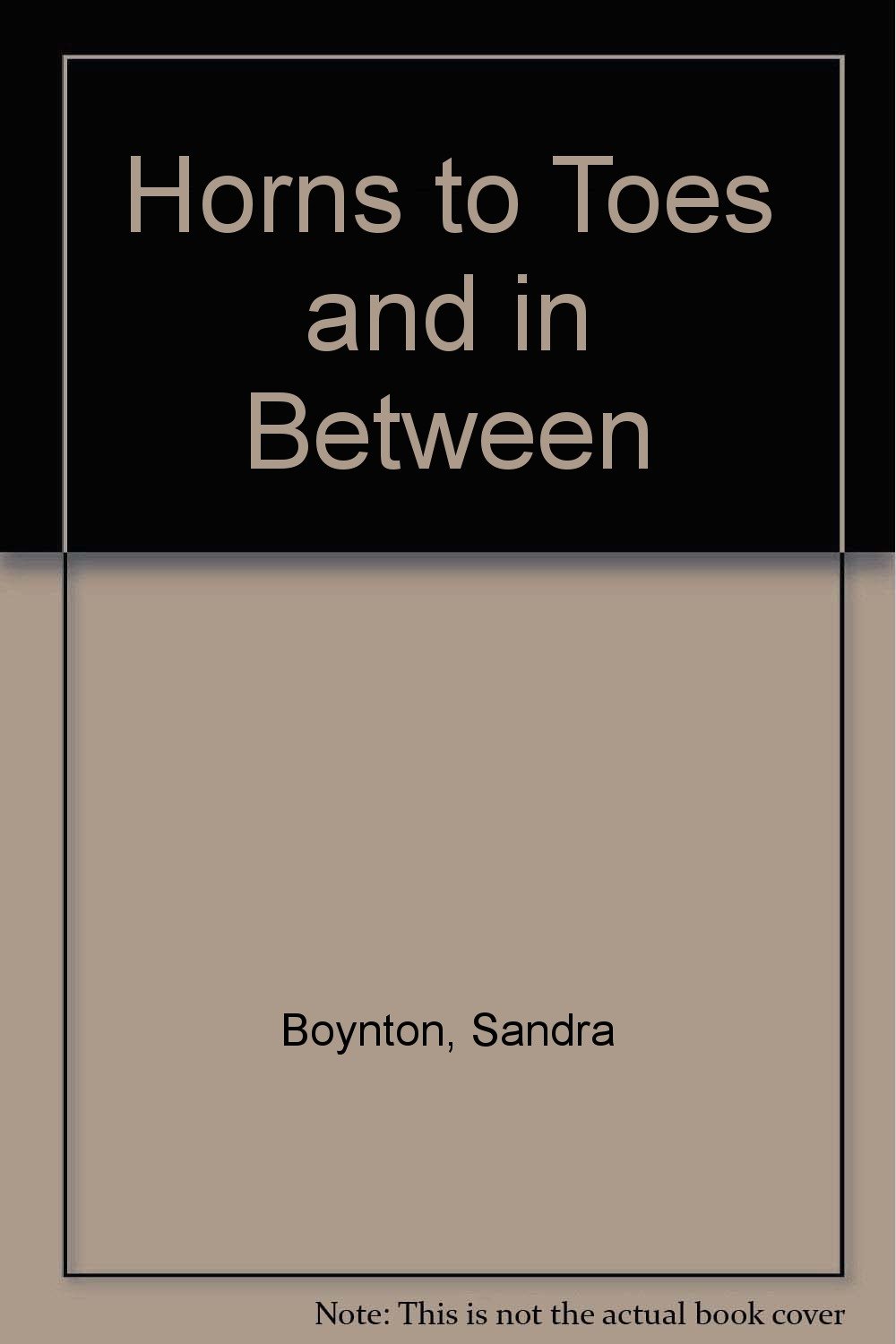 Horns to Toes and in Between Sandra Boynton Books