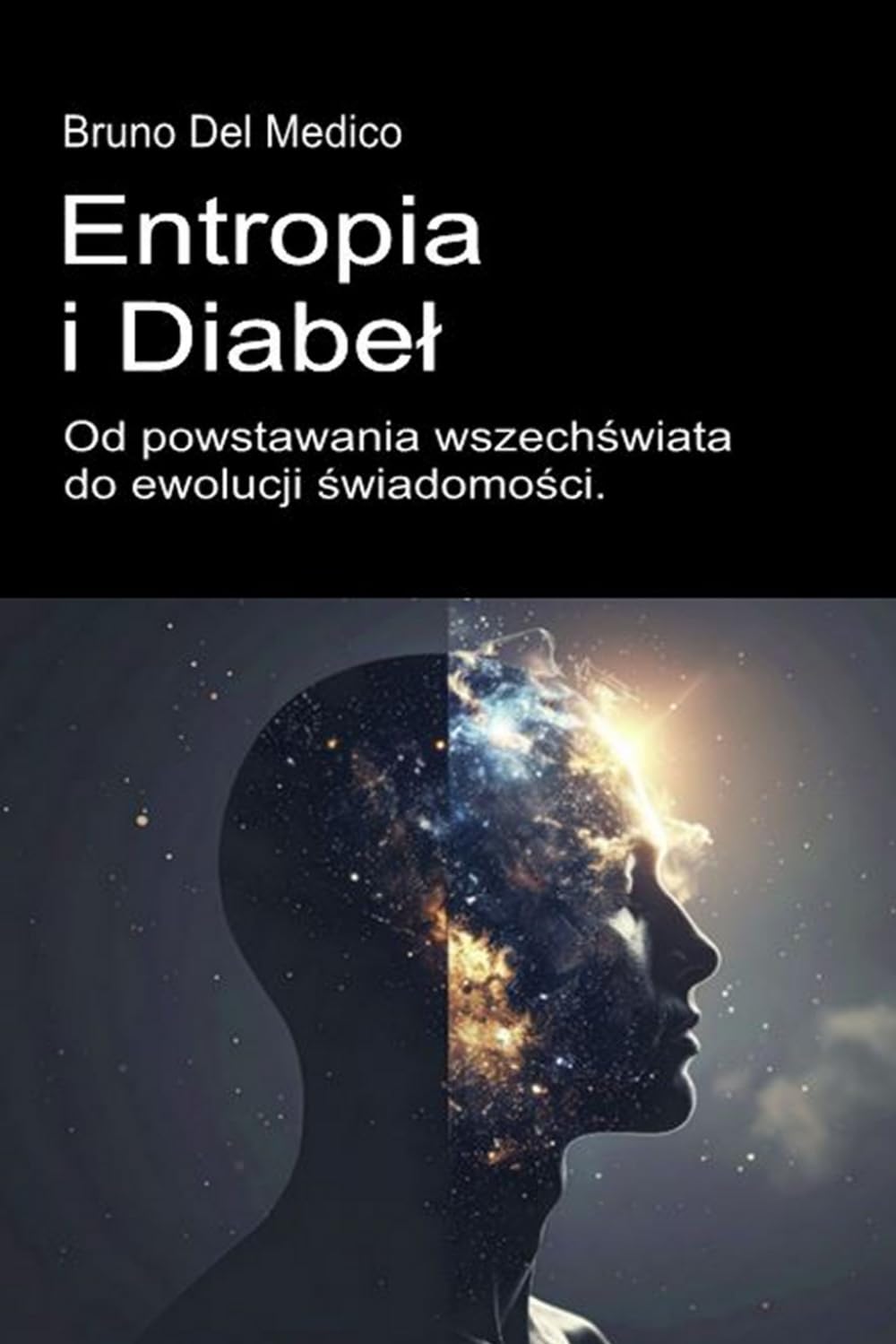 Entropia i diabeł. Od powstawania wszechświata do ewolucji świadomości.: Esej o twórczym chaosie wszechświata i człowieka. ((POL). Quantum Physics and Metaphysics. Polish-language editions.)