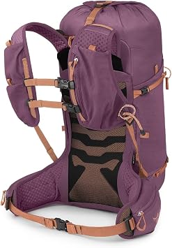 Osprey Tempest Velocity 30L Women's Hiking Backpack, Tan WXS-S | daypack, travel daypack, camping pack, Tan color, WXS-S size