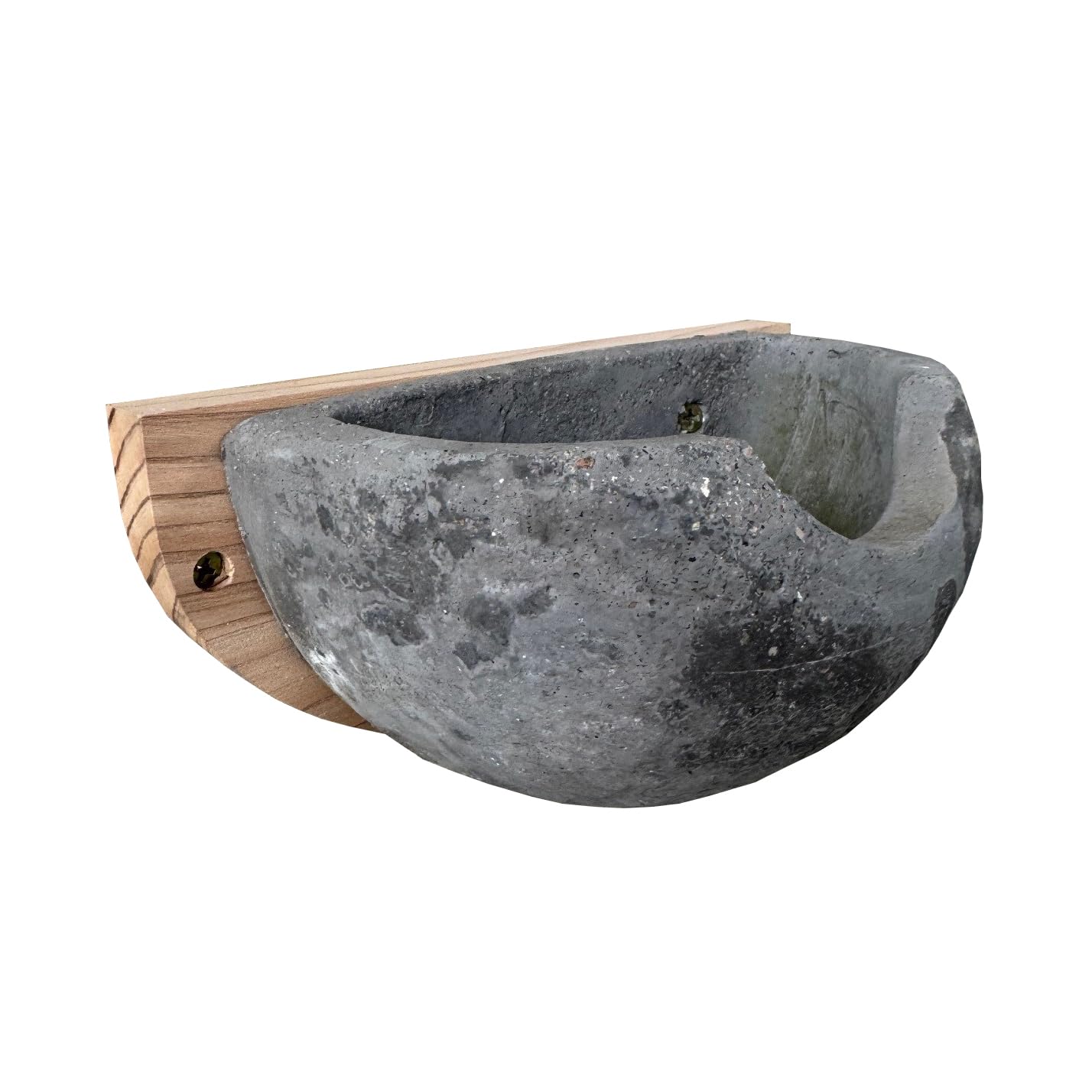 Selections Concrete House Martin Bird Nest Box Rounded Half Cup Nester