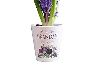Grandma Vase: A Cherished Keepsake for Plant-Loving Grandmas
