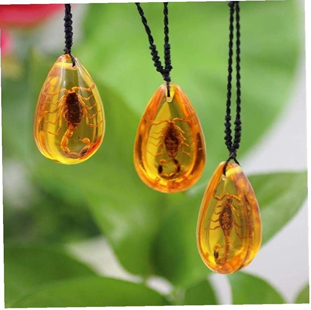 Natural Scorpion In Resin Amber Pendant Necklace - Real Insect Decorative Stone For Jewelry & Home - View #6