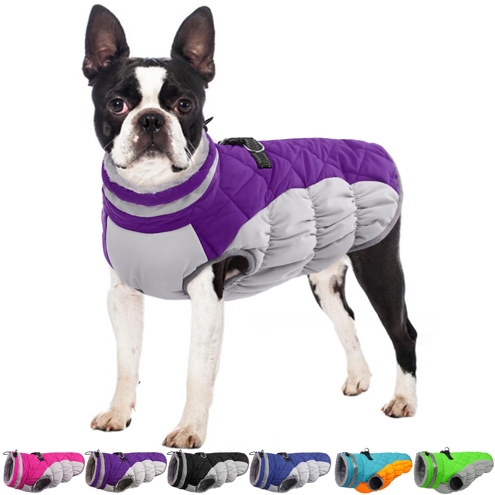 Winter Dog Coat,Large Dog Jacket,Waterproof Pet Jacket with Back Zipper,Pet Coat with Harness Built in,Warm Dogs Coat with Fleece Lined, Snow Jacket Clothes French Bulldog Shiba Inu,Purple,L