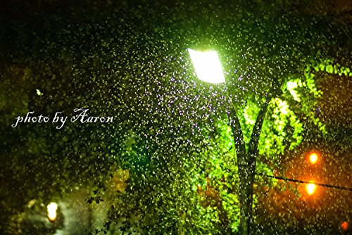 Lightdow 85Mm F1.8 Medium Telephoto Manual Focus Full Frame Portrait Lens For Canon Eos Rebel T8I T7I T7 T6 T3I T2I 4000D 2000D 1300D 850D 800D 600D 550D 90D 80D 77D 70D 50D 6D 5D Etc #TOP6