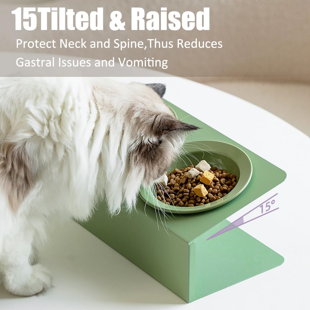 Personalized Elevated Cat Bowls 15° Tilted Raised Pet Dishes for Food and Water,Metal Body Stand Feeder with Laser Customization, 2 Ceramic Dish for Cats, Small Dogs
