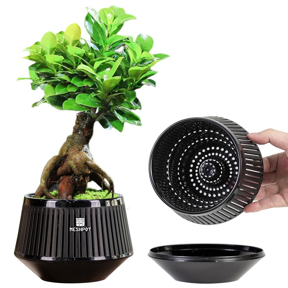 Meshpot Black 12 Cm Bonsai Pots With Drainage Tray And Excellent Airflow, Set Of 1, Plastic Bonsai Tree Pot With Air-Pruning, Small Planter For Indoor Plants, Juniper, Ficus, Chinese Elm