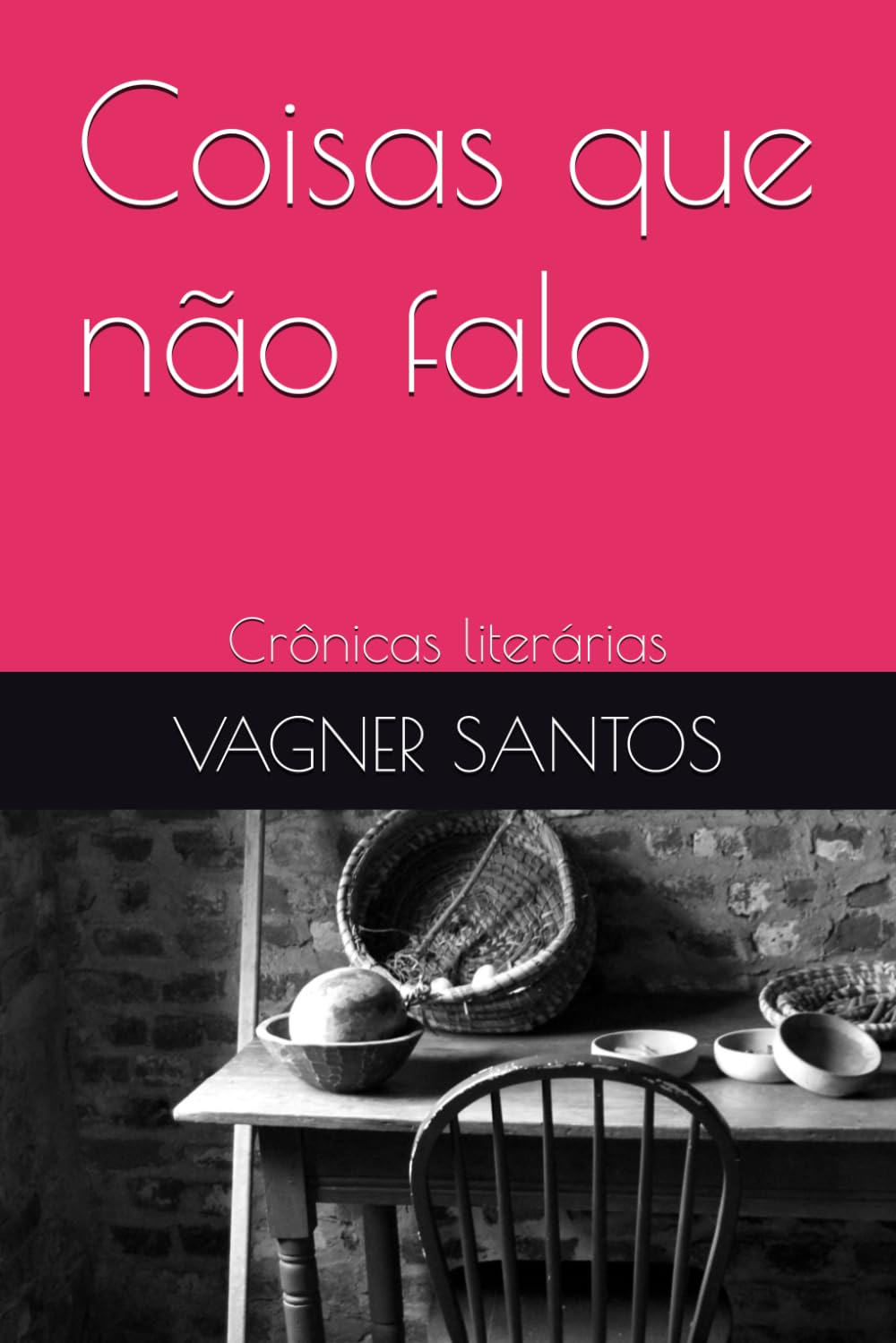 Coisas que não falo: Crônicas literárias