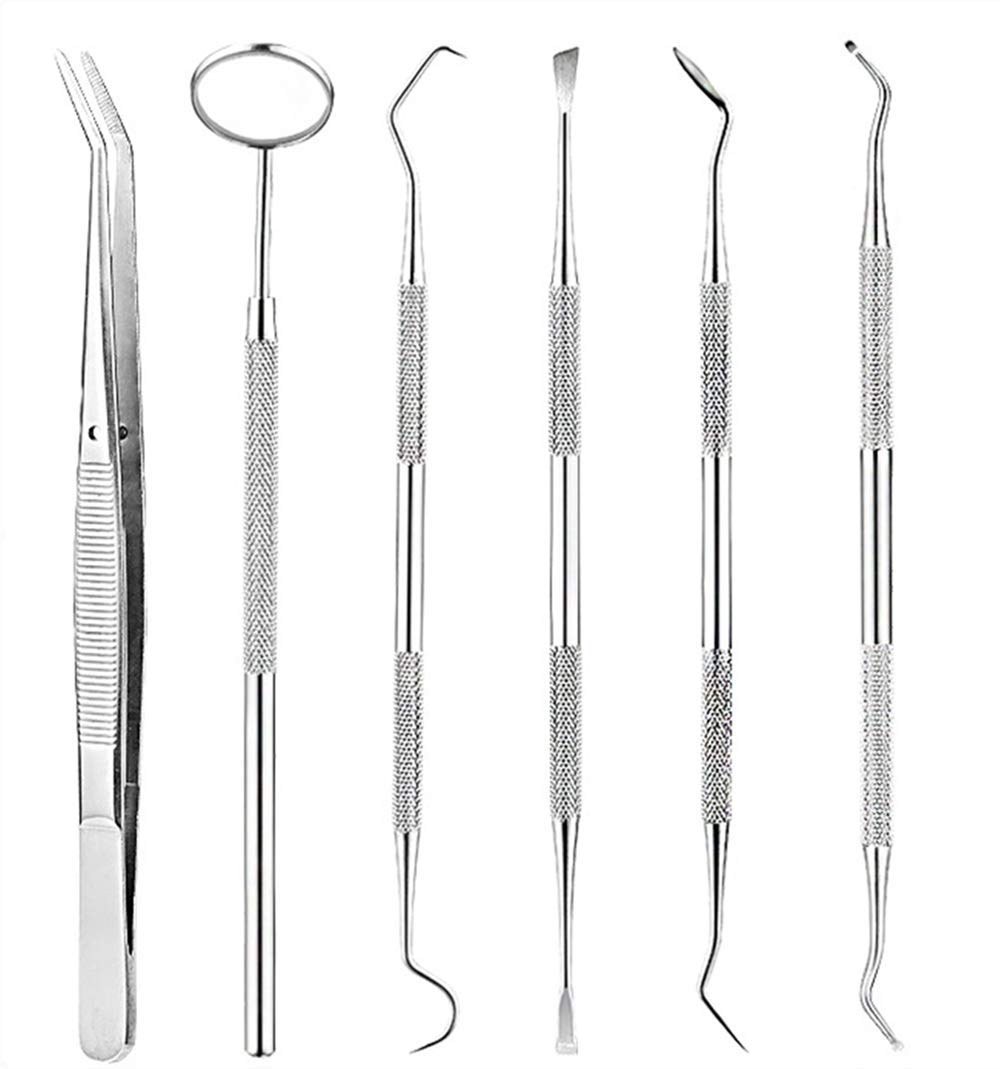 6Pcs Stainless Steel Dental Tool Set Kit Dentist Teeth Clean Hygiene Oral Care