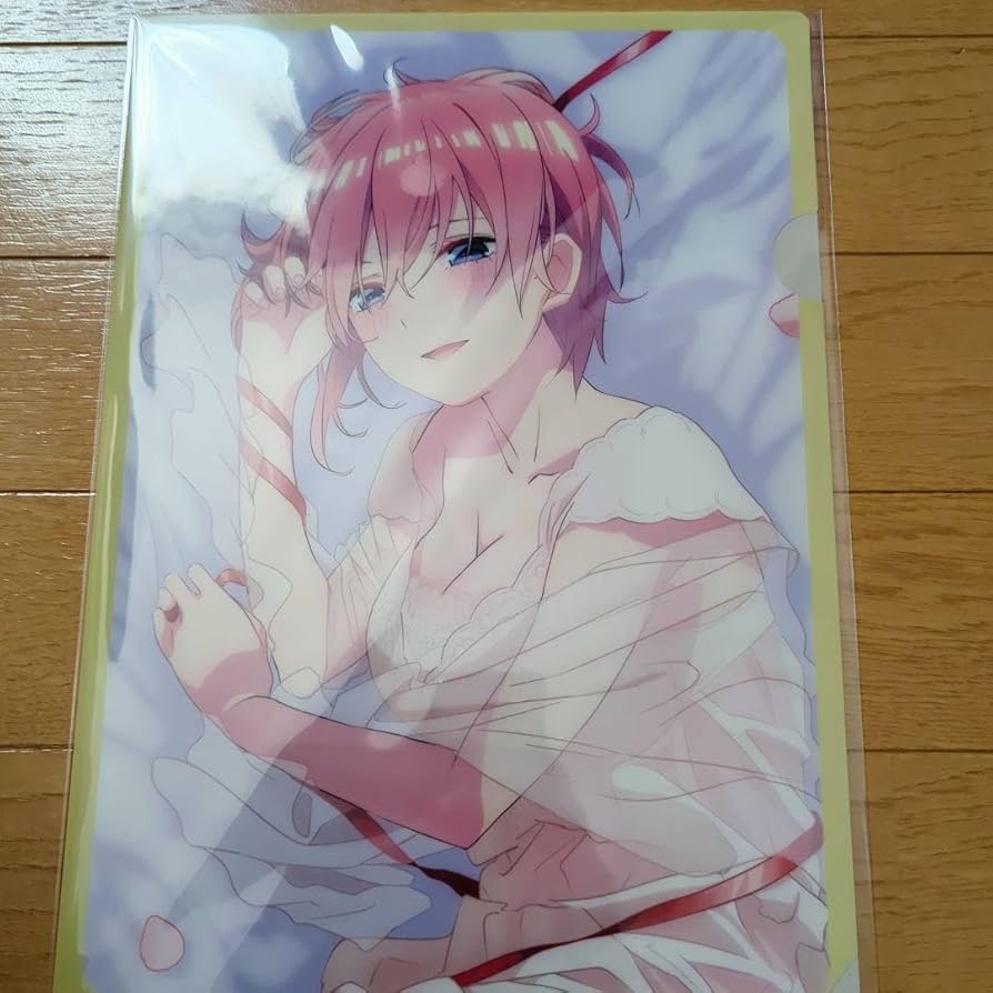 送料無料★5枚 ネグリジェ 抱き枕A4クリアファイル/五等分の花嫁/ごとよめ01 Amazon | 【アニまるっ！限定】 五等分の花嫁∬ 描き下ろし抱き