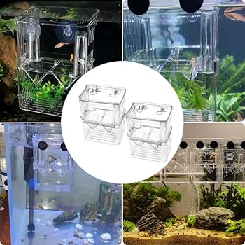 温室・飼育ケース mikaduki Amazon.co.jp: Yurika 飼育容器 虫かご 昆虫 飼育ランド ベタ