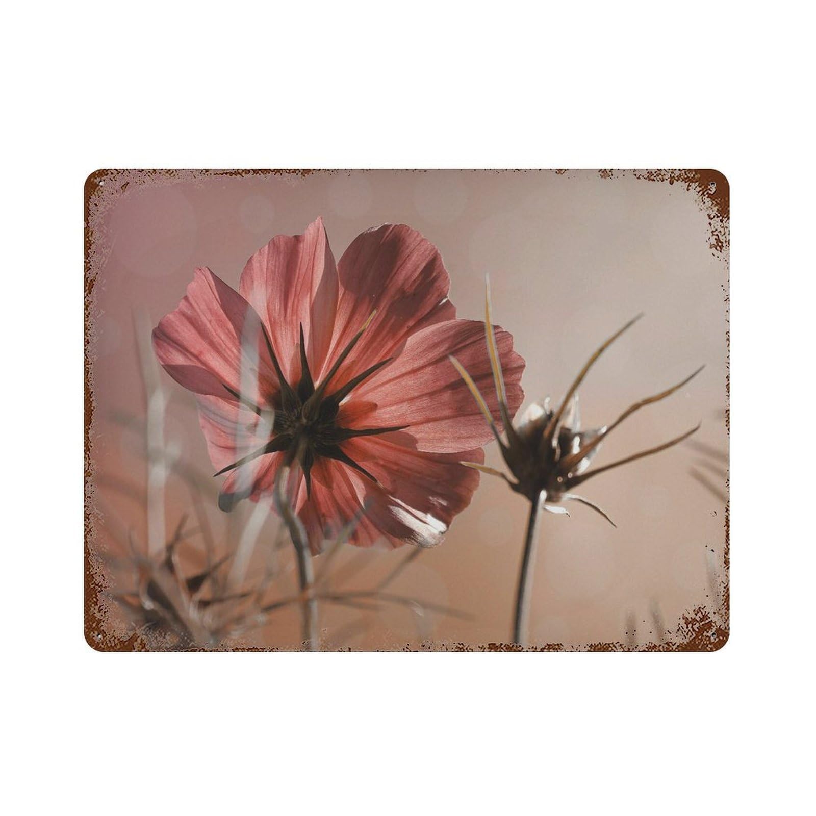 xiaoxiaoshen Pink Cosmos Flower Botanical Wall Decor Art Metal Tin Poster Modern Home Decor Art Home Bar Shop Decorations Vintage Sign 30x40cm