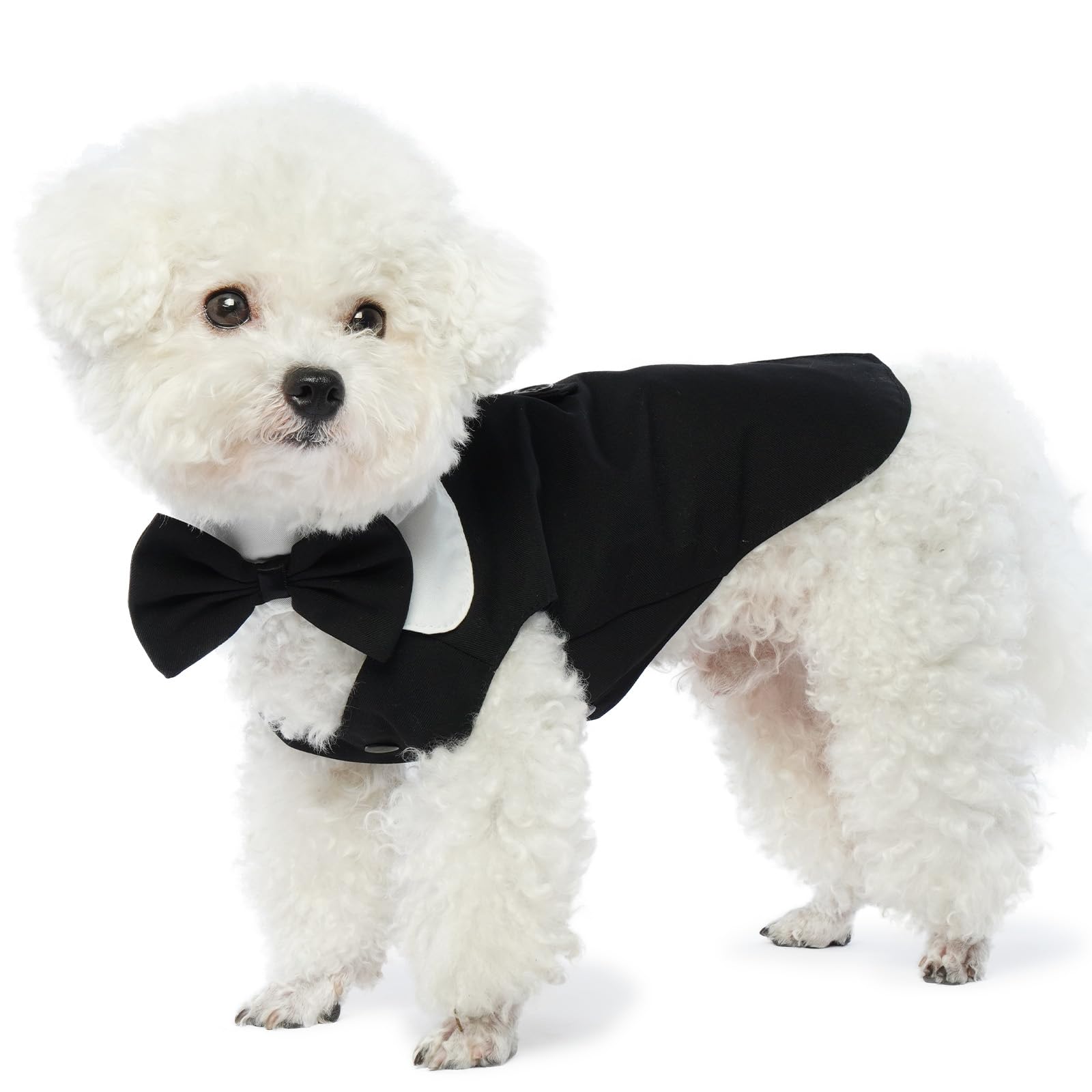 Hjyokuso Ropa Perro Boda, Esmoquin De Perro con Pajarita, Ropa para Perros Pequeños, Disfraz Perro para Navidad, Halloween, Cumpleaños, Esmoquin Perro para Chihuahua, Bichón Frisé, Yorkshire Terrier