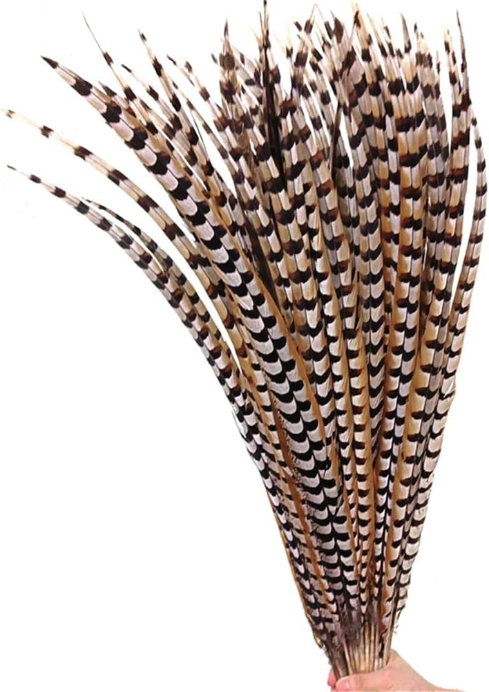 Natural Pheasant Feathers Crafts Long Large Reeves Venery Feather Performance Props Feather 50-55CM 20-22inch 10 Piece
