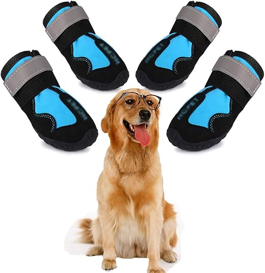 dog shoes pets at home