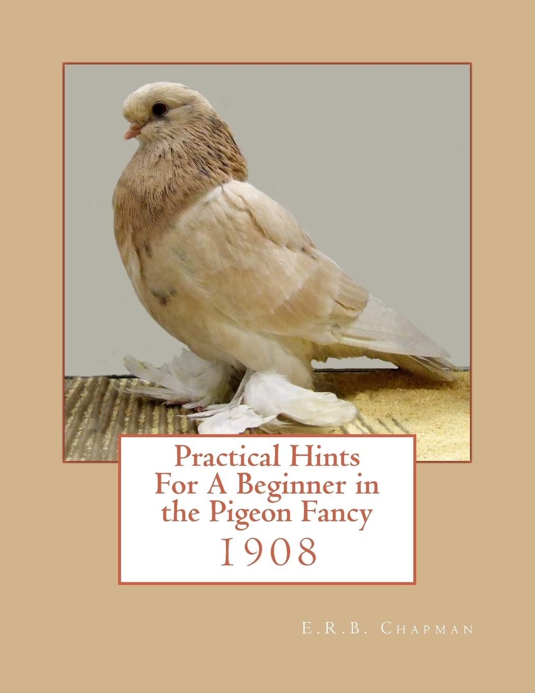 Practical Hints For A Beginner in the Pigeon Fancy