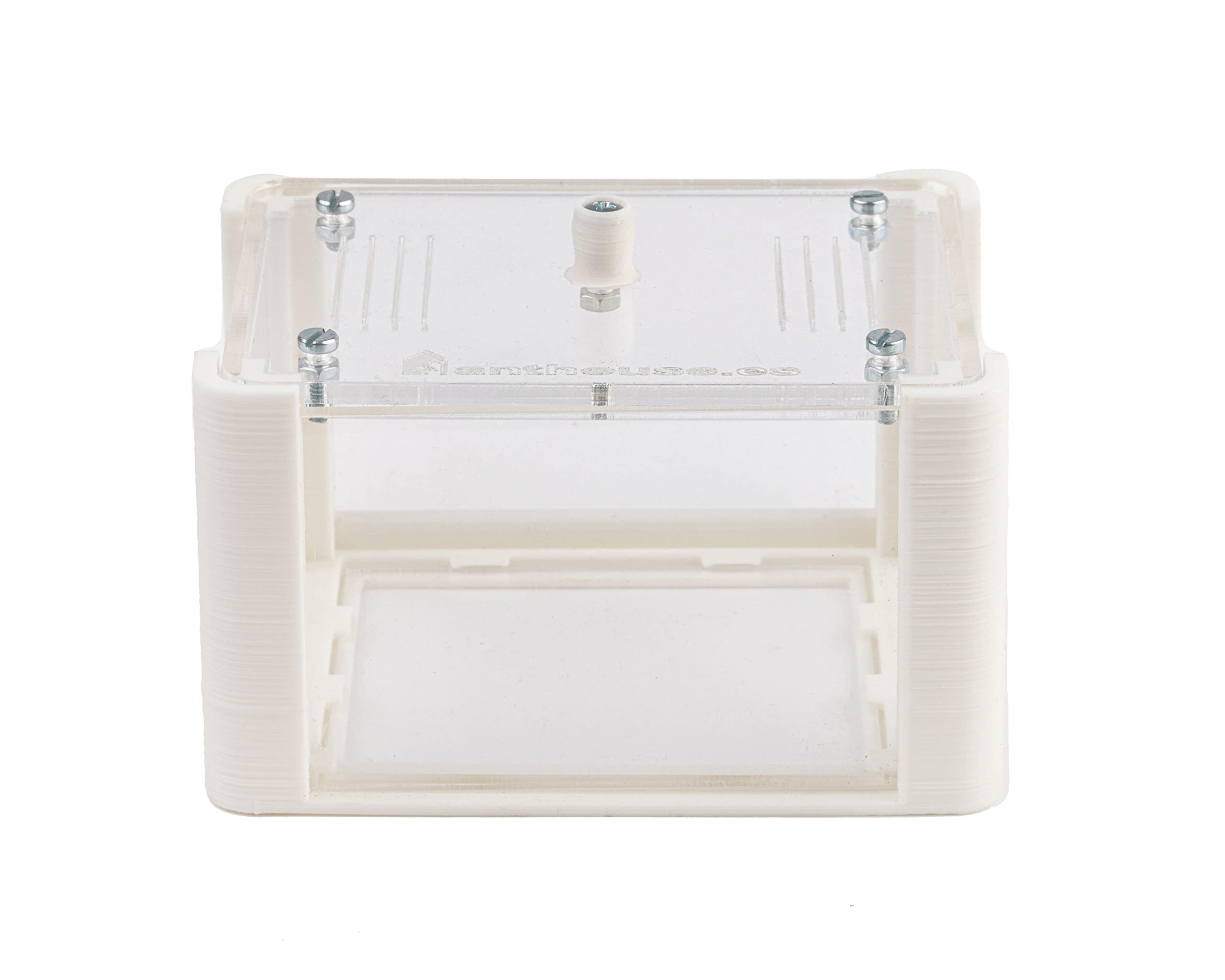 AntHouse - Fourmilière Naturelle en Sable | Kit Basic 3D (Sandwich + Caisse de Fourrage) Blanc | Fourmis Incluses - 5