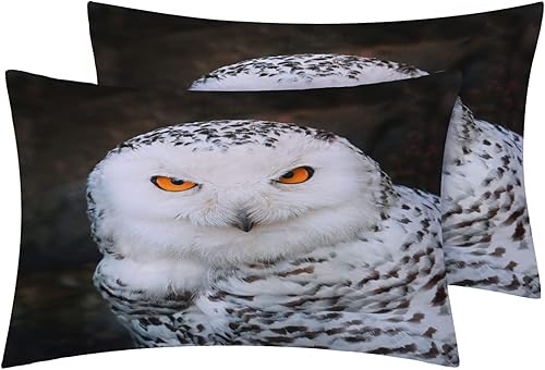 Miniatura 2 de NOGAWA Juego de sábanas de búho tamaño Queen, sábanas en blanco y negro, sábanas y fundas de almohada estampadas de 4 piezas, sábana bajera