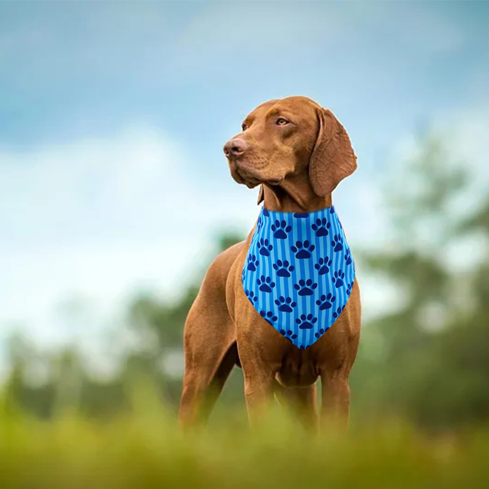 Lot de 30 bandanas réglables en vrac pour chiens de taille moyenne et très grande - Pour fête d'anniversaire, mariage, vacances, bavoirs triangulaires pour animaux domestiques - Accessoires