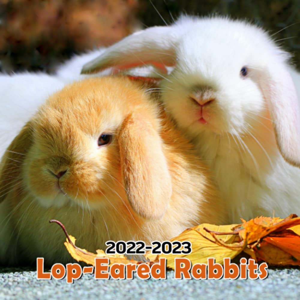Buy LopEared Rabbits 2022 Lovely Bunnies Gift Idea / White Elephant / Secret Santa / Birthday
