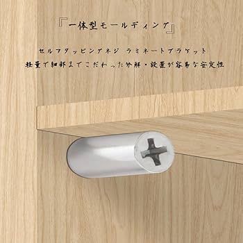 Amazon | ZUNNY HJERBOF セルフタッピングねじキャビネット