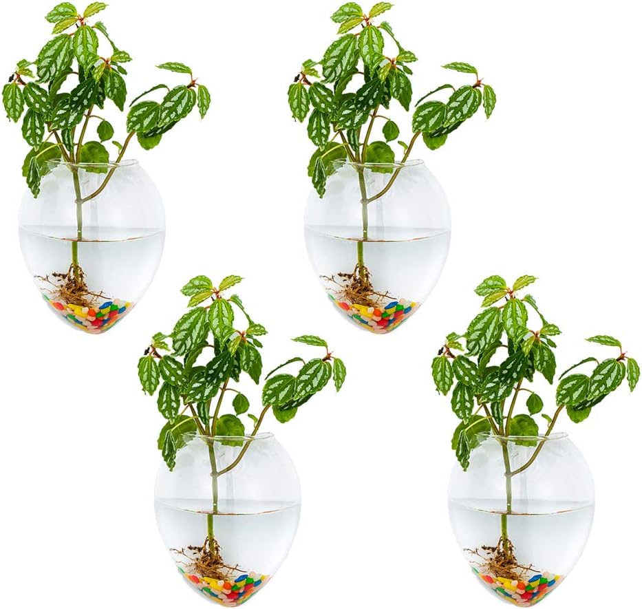Glasseam Wall Hanging Glass Planters 4Pcs Mouse Shape Plant Pots