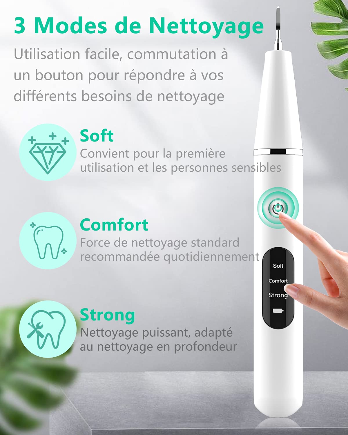 Brosse à dents | Accessoires pour hydropulseurs et irrigateurs | Nettoyage à 3 vitesses | Pour une haleine fraîche et l'hygiène bucco-dentaire