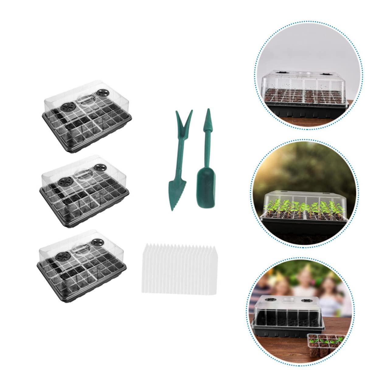 Plateau de Germination pour Plantes, Lot de 1 Set de Set, Pp, Trous