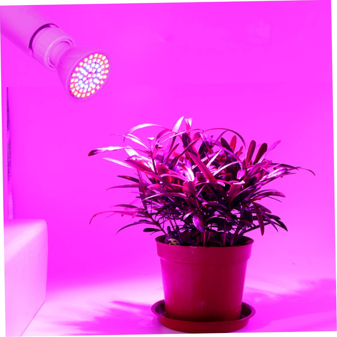 60 LED poussent l'ampoule, Gu10 croissance des plantes lampe horticole à spectre complet 220 V d'intérieur pour plantes d'intérieur jardin succulent