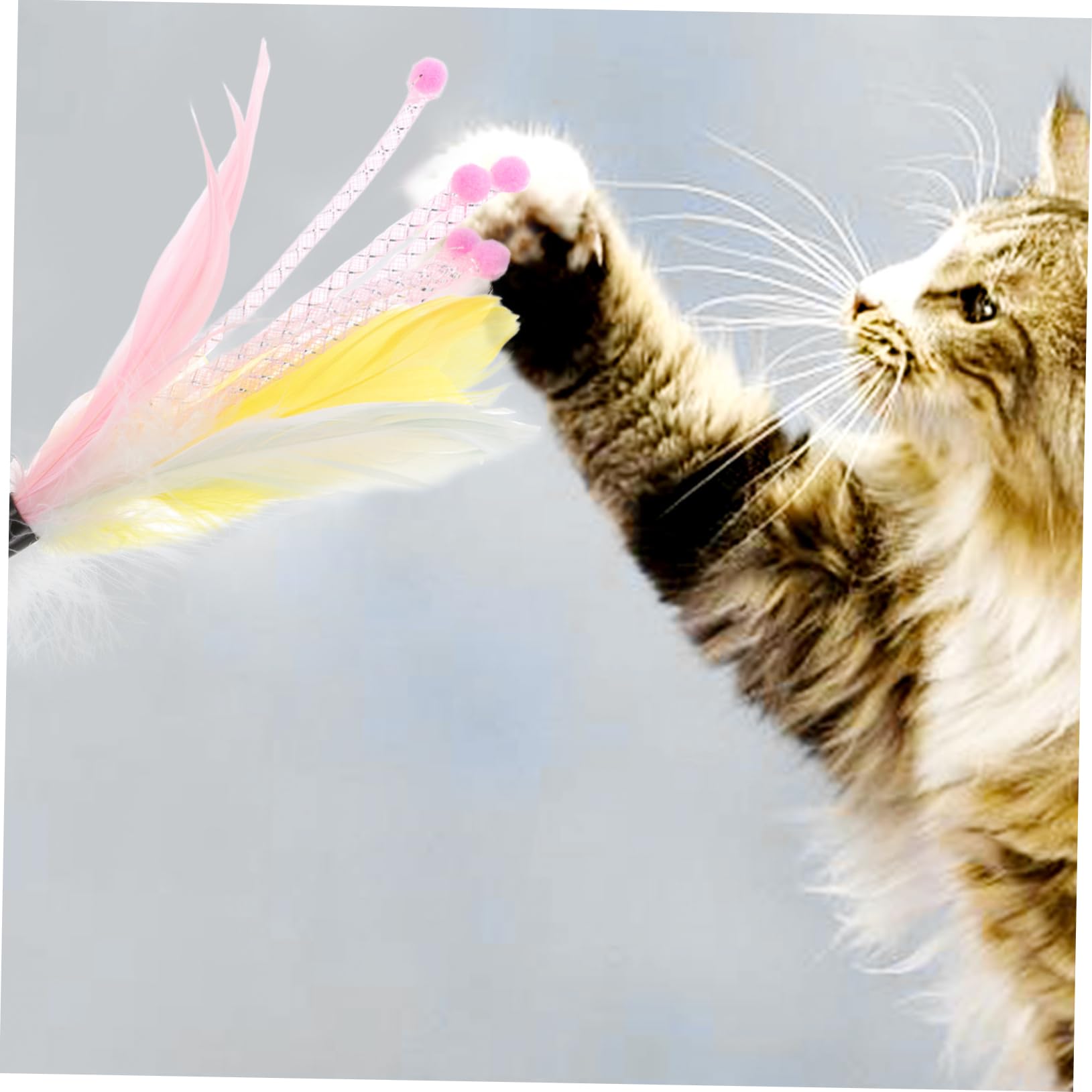 SUPVOX Lot De 4 Jouets pour Chat De Rechange pour Jouer 8 Pièces X 4