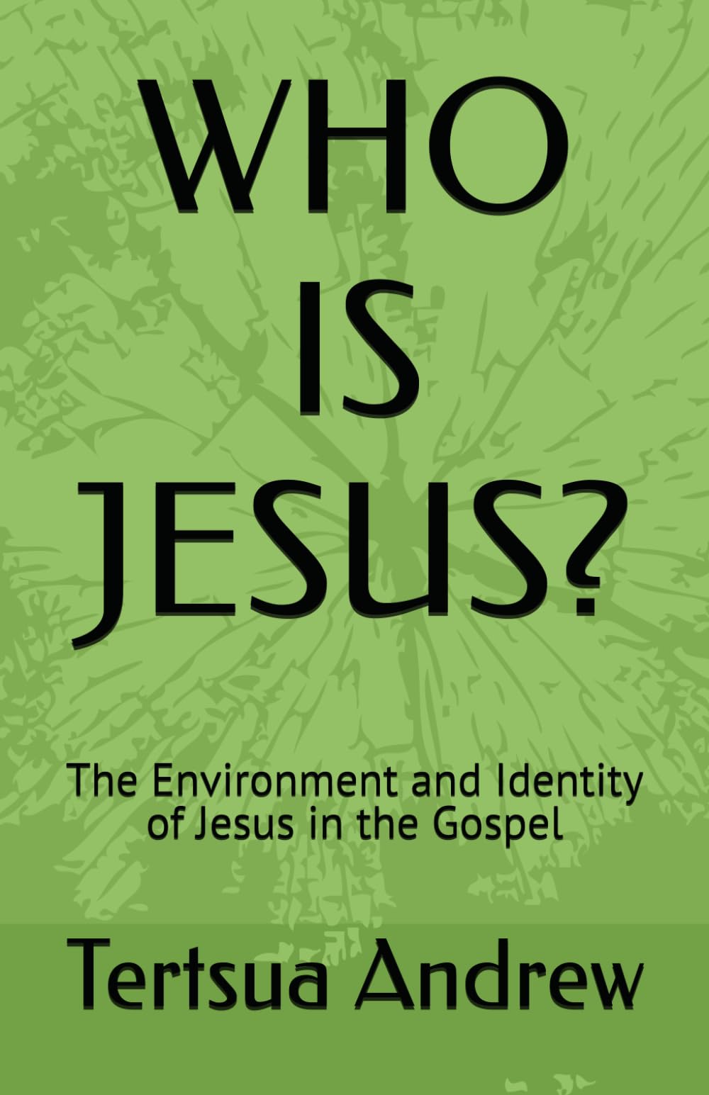 WHO IS JESUS?: The Environment and Identity of Jesus in the Gospel