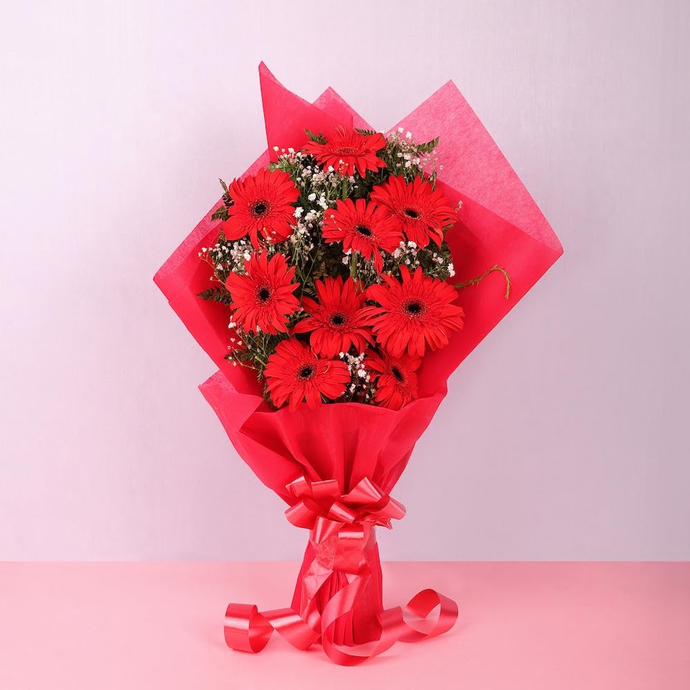 IFG's Bouquet of 9 Red Gerberas in Red Paper Wrap. | Send it on Birthday, Marriage Anniversary, Mother's Day, Valentine's Day, Congratulations & Retirement. | India-wide Delivery in 4 hrs-image-28